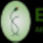 seo.essenceskincare