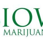 iowamarijuanacard