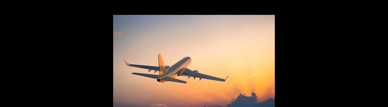 Rushmyflight