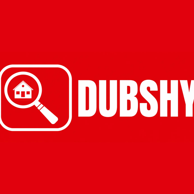 DubshyPropertySnagging