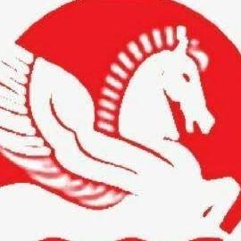 singhalindustries2